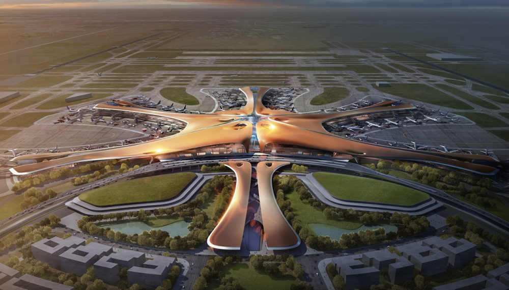 W020190809355165821559 W020190809355165821559