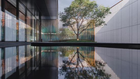 �����羺��(�й���)�ٷ���վ