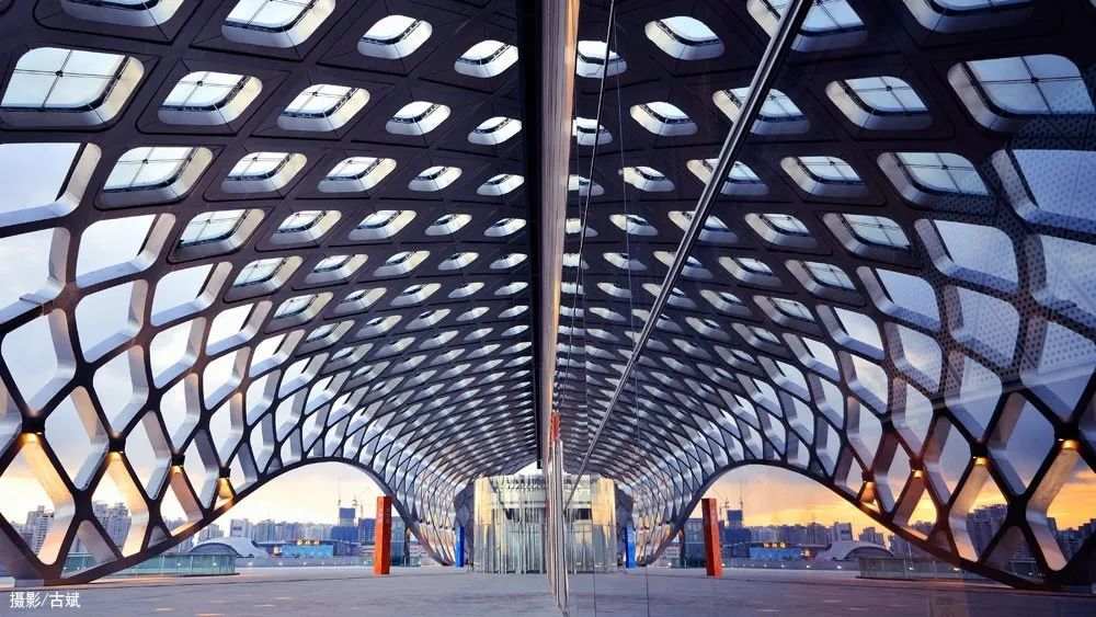 �����羺��(�й���)�ٷ���վ