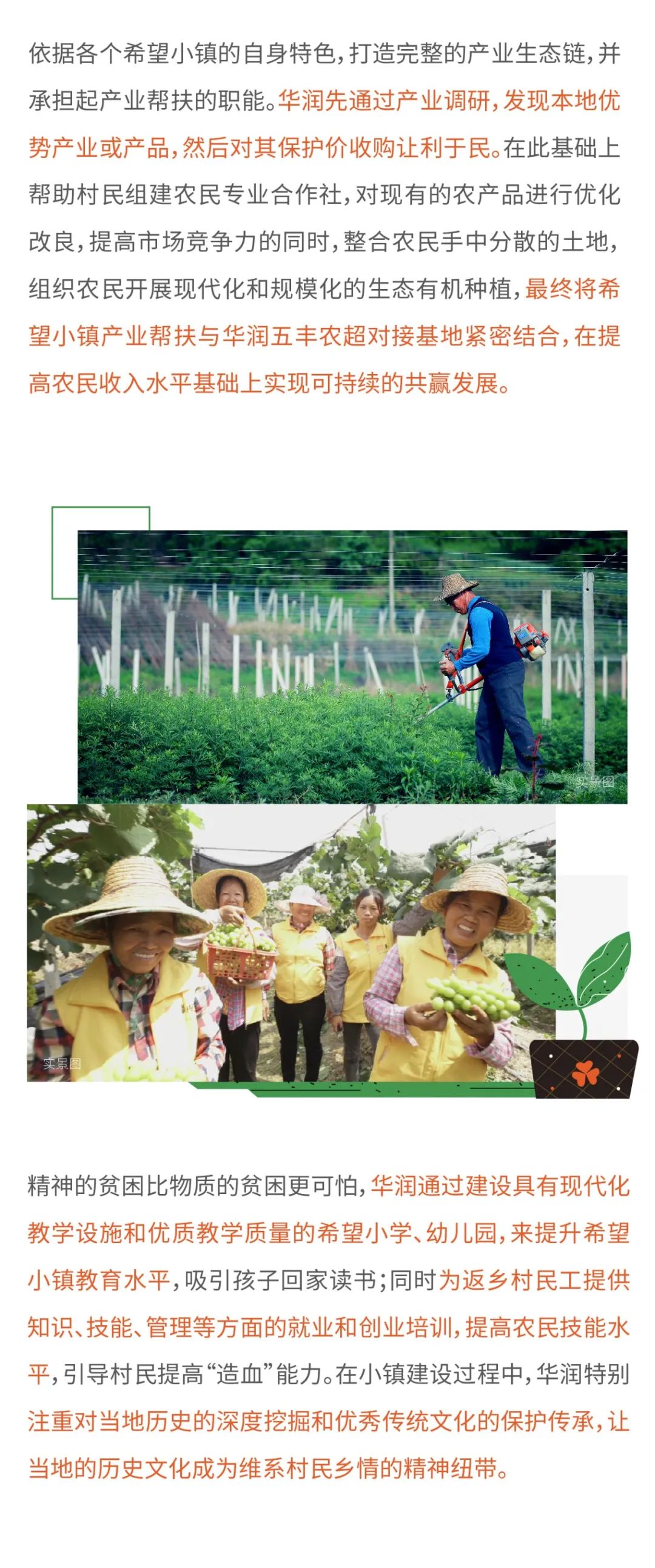 �����羺��(�й���)�ٷ���վ