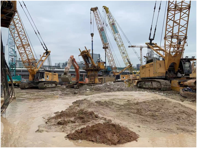 �����羺��(�й���)�ٷ���վ