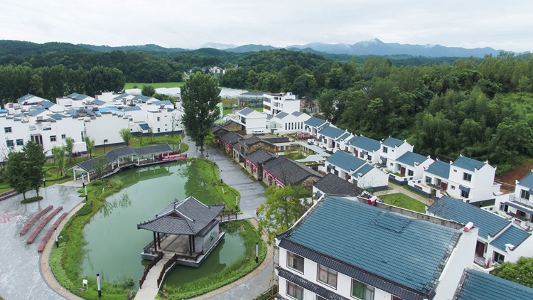 �����羺��(�й���)�ٷ���վ